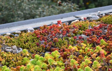 the cost of Woodington green roof installation