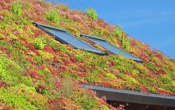Woodington living roof systems