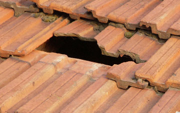 roof repair Woodington, Hampshire